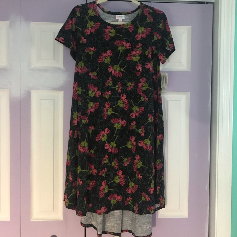 NWT LuLaRoe Black/Pink Floral Carly Dress, Size XS